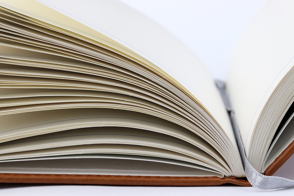 Baccalauréat : réussir son entrée à l’ESC Amiens - École Supérieure de Commerce d'Amiens